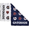 Chicago Bears