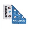 Detroit Lions