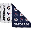 Houston Texans