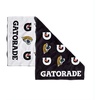 Jacksonville Jaguars