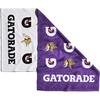 Minnesota Vikings