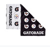 Pittsburgh Steelers