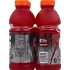 image:image8 ct 20 oz Fruit Punch Berry XFactor Gatorade