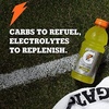 image:imageGatorade G2 Thirst Quencher Sports Drink Variety Pack 20oz Bottles 12 Pack Electrolytes for RehydrationFierce Variety Pack
