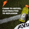 image:imageGatorade Thirst Quencher Sports Drink Variety Pack 12 Fl Oz Pack of 18BerryGrapeStrawberry