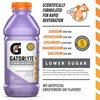image:imageGatorlyte Rapid Rehydration Electrolyte Beverage Mixed Berry 20oz Bottle