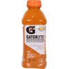 image:imageGatorlyte Rapid Rehydration Orange Electrolyte Beverage20 Fl Oz BottleOrange