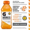 image:imageGatorlyte Rapid Rehydration Orange Electrolyte Beverage20 Fl Oz BottleOrange