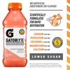 image:imageGatorlyte Rapid Rehydration Orange Electrolyte Beverage20 Fl Oz BottleWatermelon