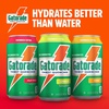 image:imageGatorade Thirst Quencher Orange 116 Fl Oz Cans Pack of 18Variety Pack