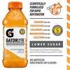 image:imageGatorlyte Rapid Rehydration Electrolyte Drink Pineapple Mango 20 fl oz Bottles 12 Pack Specialized Blend of 5 Electrolytes Lower Sugar No Artificial Sweeteners No Artificial Flavors Gatorade HydrationOrange