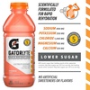 image:imageGatorlyte Rapid Rehydration Electrolyte Drink Pineapple Mango 20 fl oz Bottles 12 Pack Specialized Blend of 5 Electrolytes Lower Sugar No Artificial Sweeteners No Artificial Flavors Gatorade HydrationWatermelon