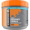 image:imageGatorade Endurance Formula Powder Watermelon 32 OunceOrange