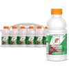 image:imageGatorade Lower Sugar Sports Drink Rain Berry 20 fl oz Bottles 6 Pack  75 Less Sugar No Artificial Flavors No Artificial Sweeteners No Artificial Colors Electrolyte Sports Drink HydrationGlacier Cherry